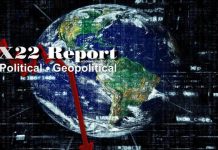 Watch NYC, Watch CA, The World Is Watching, Day ZERO – X22 Report