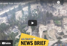 BC Fire Evacuees lose everything – Please Note, Trees didn’t burn???