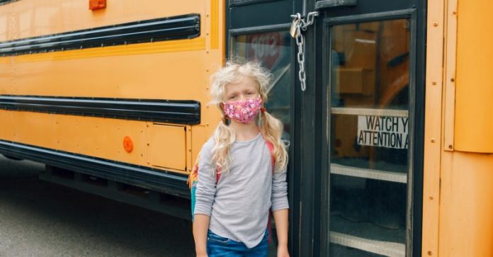 iStock-1268296731-800x417