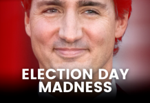 Call me a skeptic – but this election already smells fishy, by Keean Bexte