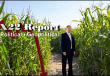 Insurgency, Next Counterinsurgency, Corn Is Developed & Will Soon Be Harvested – X22 Report
