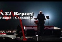 Time Flies, Something Might Happen Before 2024, Down She Goes – X22 Report