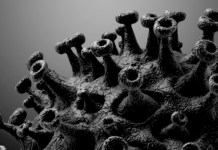 The master plan behind the Covid crisis