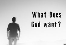 What does God want? by Jon Rappoport