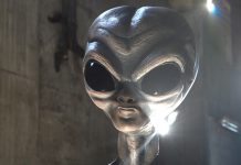 The Extraterrestrial, the self-important Earth Person, and the Pig, by Jon Rappoport