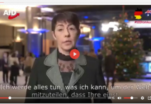 Christine Anderson Of The E.U. Parliament Answers Cries For Help From Australia