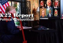 What happens when you can no longer trust those elected to represent you?