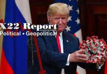 Trump Has Everything, Pandemic Countered, Truth Is Mind Blowing, Cannot Fully Be Exposed – X22 Report