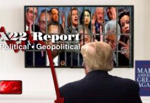 Red Wave Or Red Tsunami, The Game Is Over When The Public Knows The Truth