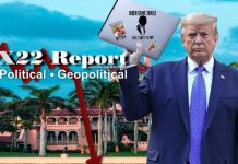 What Happens When Assets Are Removed? Exposing The Criminal Syndicate,Define Traitor