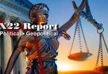 Those Who Are Awake Can See Clearly,Trump Caught Them All,Control Belongs To The Patriots