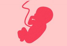 Was COVID vaccine fetal tissue obtained by the murder of an infant? by Jon Rappoport