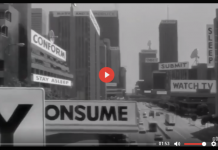 PervyWood 9 – The New World Order: Vol 1 & 2