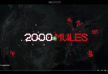 Dinesh D’Souza Presents 2000 Mules -Full Documentary – (Video Restored!!!)