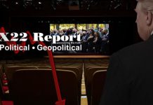 It’s Time To End The Horror Show, The Truth Has Been Right In Front Of Everyone