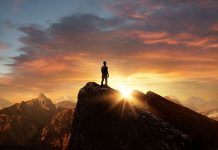 The Elephant in the Room! How election fraud turns democracies into dictatorships