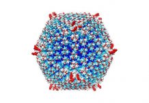 The Stealth Pandemic, by Bruce O’Hara