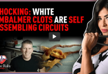 SHOCKING: White Embalmer Clots Are Self Assembling Circuits