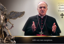 Archbishop Carlo Maria Vigano ~ “We Must Unite To Stop the New World Order/Great Reset”