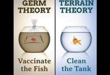 Germ Theory VS Terrain Reality