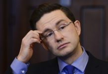 Three Things The New Leader of the Conservative Party, Pierre Poilievre , Can Do Today To Prove That The Politics Of His Party Has Changed —Not Just A New Face, by Brian Peckford