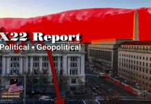 Scavino Sends Message: Red Wave, 11.3 Was The Beginning, All Will Fall In Line – X22 Report