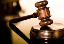 My Lawsuit —-The People Lose —The State Wins ! In Canada , Glorious And Free? Individual Vs The State ? The State Wins ! It’s All Too ‘Moot! by Brian Peckford