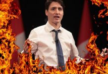 Barry Sherman Conviction Could Have Removed Justin Trudeau From Office, by Brad Salzberg