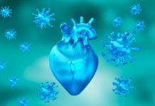 Japan Bombshell: COVID-19 Vaccines 4X+ Myocarditis Risk than Background Population: ‘Extremely High Myocarditis Death Odds’