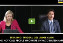 BREAKING: Justin Trudeau Lies Under Oath: “I Did Not Call People Who Were Unvaccinated Names”
