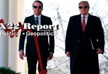 Nationalist & The Globalist Are At War, The Election Fraud Awakening Is About To Happen – X22 Report