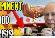 Imminent Food Crisis, by Josh Sigurdson