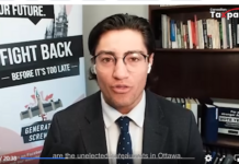 Senate Committee Gets and Earful About Online Censors