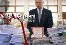Trap Has Been Set, Biden In The Spotlight. Think Mirror, Year Of The Boomerang! – X 22 Report