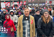 Maxime Bernier: ‘You have the right to insult me, we are in a free country’