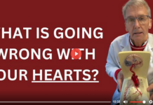 What Is Going Wrong With Our Hearts