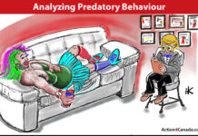 Analyzing Sexual Predatory Behavior and Systemic Grooming in the Education System