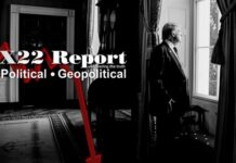 Epstein’s Network, Red Cross Being Exposed,Trump: WWIII Is Looming In The Dark Background – X22 Report