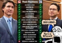 What is the difference between Trudeau and Poilievre?