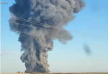 Explosion at Texas Dairy Farm Kills an Estimated 18,000 Cattle