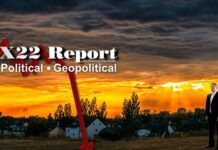 Patriots Needed A Spark To Re-Ignite The Engine,Public Interest Forces The Sun To Shine – X22 Report