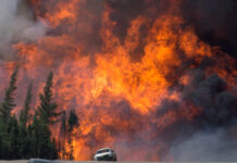 It took 7 years for Victoria radio man to apologize