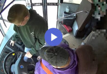 Died suddenly – School bus drivers are collapsing at the wheel – 9 recent incidents! by William Makis