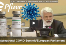 Dr. ‘Robert Malone’ On The Stand. The International COVID Summit’ (3) The ‘European Parliament’