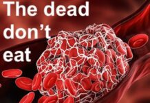 The Dead Don’t Eat, by Ricky Daytona