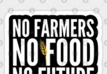 The EU Hunger Games, by Ricky Daytona