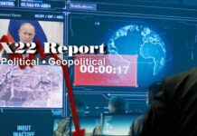 Only At The Precipice Will People Find The Will To Change, BackChannels – X22 Report (updated)