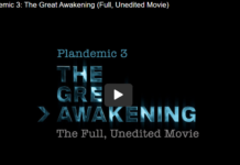 Plandemic 3: The Great Awakening (Full, Unedited Movie)