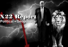 Lion Is Getting Ready To Attack,Ukraine Comes Into Focus, Overthrow Of The US Government, X22 Report