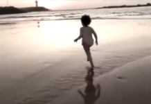 The Plan To Save The World